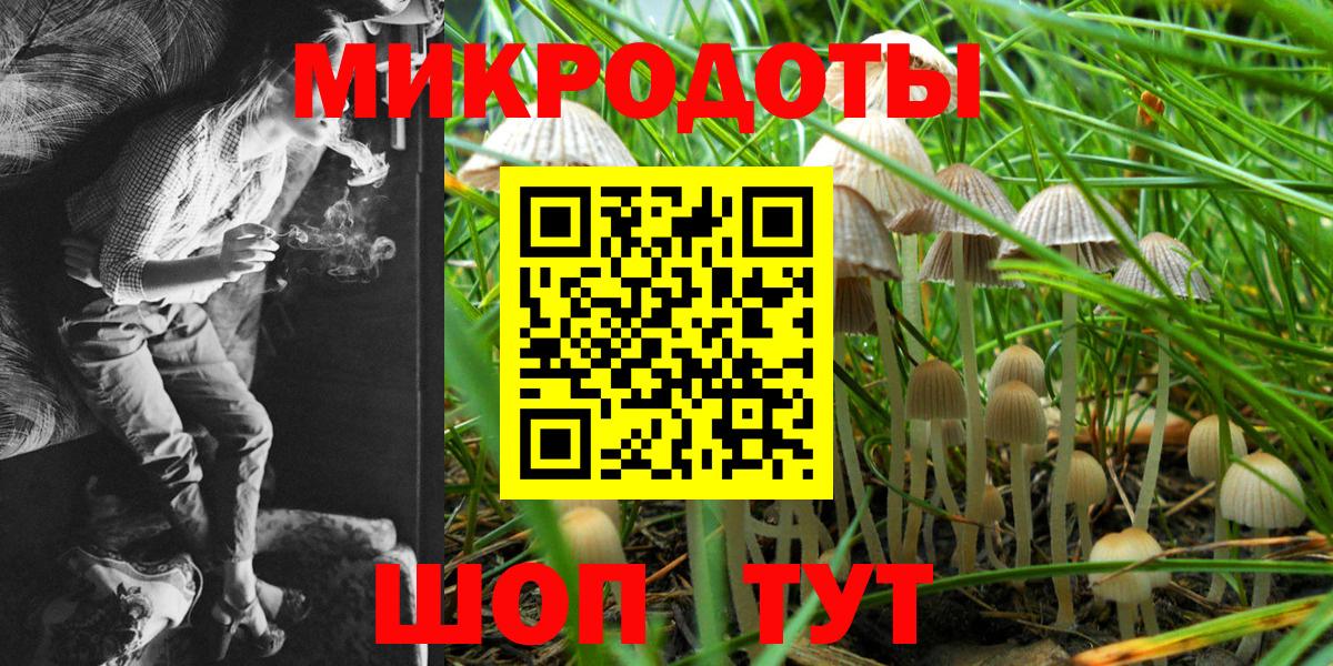 Псилоцибиновые грибы прущие грибы Ипатово