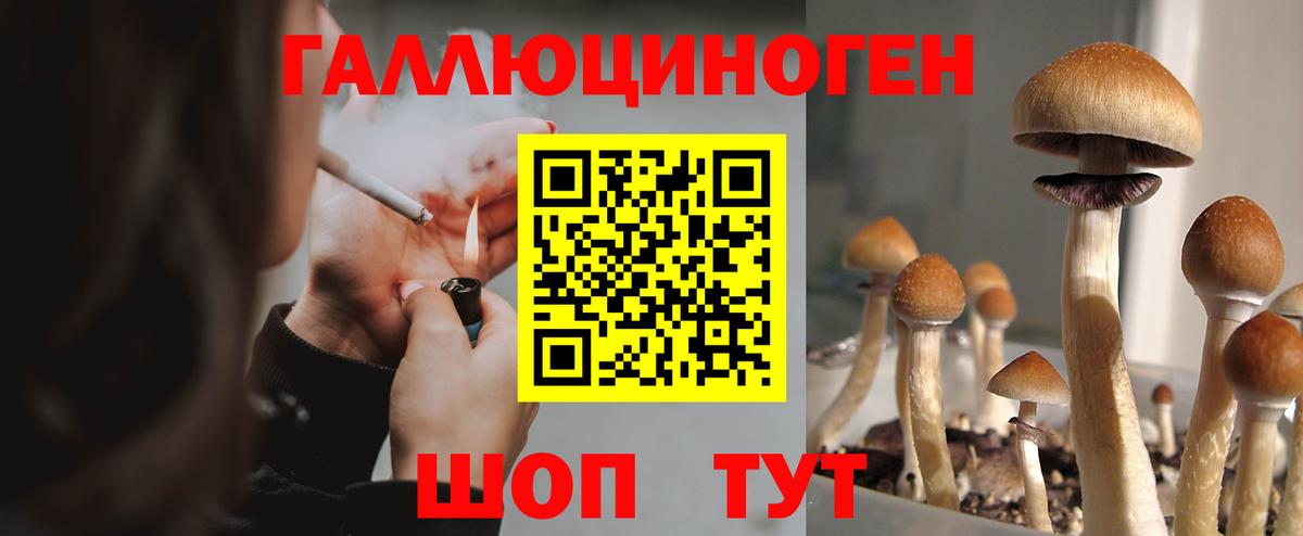 Галлюциногенные грибы MAGIC MUSHROOMS  Псилоцибиновые грибы MAGIC MUSHROOMS  Ипатово  Вход с VPN 